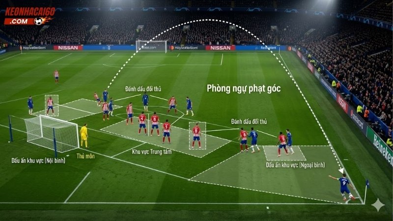 cach-phong-ngu-phat-goc-bong-da